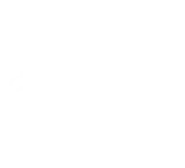 Partner dispersive