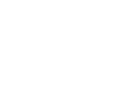 Partner zscaler